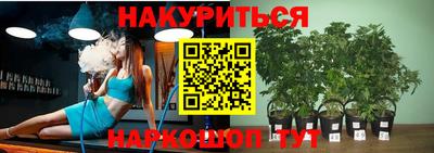 мдпв Краснознаменск