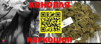 крисы Краснодар